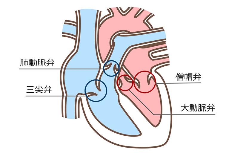 弁膜症