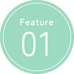 Feature 01