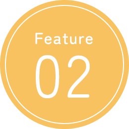 Feature 02