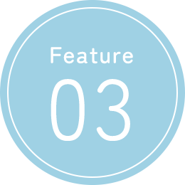 Feature 03